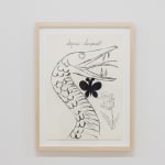 Andy Warhol, From The Wonderful World of Fleming-Joffe, Water Buffalo, 1960