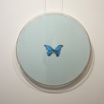 Damien Hirst, Cathedral: Santiago de Compostela, 2007