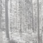 Andrea Geyer, Borderlands (Light Braids Into Air), 2022
