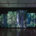 Andrea Geyer, never yet, 2023