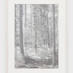 Andrea Geyer, Borderlands (Light Braids Into Air), 2022