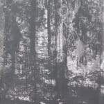 Andrea Geyer Borderlands (Moist Roots), 2022