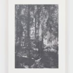 Andrea Geyer Borderlands (Moist Roots), 2022