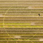 Jeroen Jongeleen, Running a Circle Clockwize Shelburne Farms, VT, USA,, 2015