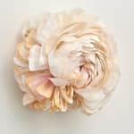 Detail of Tiffanie Turner paper sculpture of Ranunculus