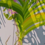 detail of Natalia Juncadella painting of orchid, plant and roots, shadows