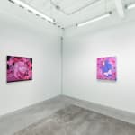 installation view of Megan Ellen MacDonald's exhibition "What Doesn't Kill You" at Hashimoto Contemporary San Francisco. From left to right: "Gentle Monster," and "Captivated."