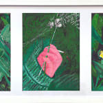 three drawings of a hand and plants in one white frame