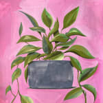 Dennis Brown's painting of a potted plant with a pink background