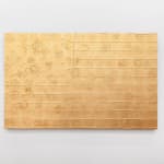 Andrew Schoultz - golden american flag
