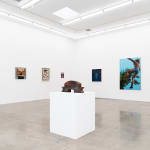 Installation image at Hashimoto Contemporary Los Angeles