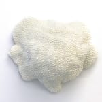 Dan Lam, Mind Melter, 2019