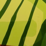 detail of Natalia Juncadella painting of white fence and grass with shadows cast over it