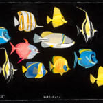 painting of various colorful fish on black background
