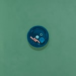 blue tray with assorted objects on a green background