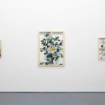 white wall with three different paintings displayed