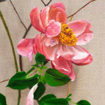 detail of pink flowers with green leaves and stems with subtle dog faces