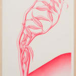 Devra Fox - Pink graphite drawing of a plant growing on hill leaning towards the right side of the paper.