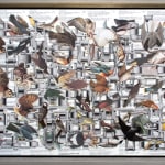 Hope Kroll, L'Imposteur, 2019