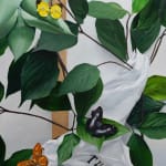 detail view of dog butterfly