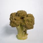 Lindsey Lou Howard sculpture of a head of broccoli with skulls in tops