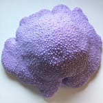 Dan Lam, Mind Melter, 2019