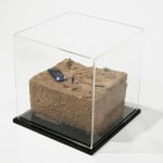 Abigail Goldman's sculpture of desert murder scene