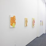 Photograph of Michael McGregor's paintings installed at the New York gallery space
