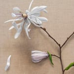 detail of painting of white flowers with subtle dog faces