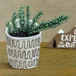 green succulent like plant in a grey and black bot with a brown background