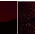 A photograph of a red and black landscape of a tree and a detail photo