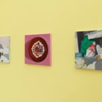 installation photo of Francisco Diaz Scotto's artwork
