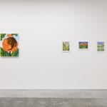 Installation view of The Jaunt: Winter Camp at Hashimoto Contemporary San Francisco. From left to right: Bianca Nemelc's "Flower in Rest," "Morning Light," "Mountain View," and "Walk In The Forest."