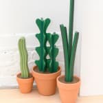 Jeff Canham wooden plant sculpture in a terra cotta pot