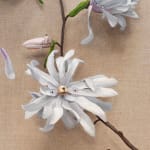 detail of painting of white flowers with subtle dog faces