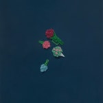 bouquets on dark blue background