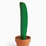 Jeff Canham wooden plant sculpture in a terra cotta pot