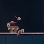 Still life of a plant on a counter by Francisco Diaz Scotto