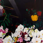 painting of a group of orchids against a dark background by Francisco Diaz Scotto