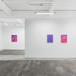installation view of Megan Ellen MacDonald's exhibition "What Doesn't Kill You" at Hashimoto Contemporary San Francisco. From left to right: "Thick Skin," "Flutter," "Blue Period," and "Soft Edge, Sharp Curve."