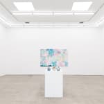 Installation image of So Youn Lee's work at Hashimoto Contemporary Los Angeles