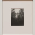 drawing of the sky through the trees