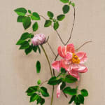 detail of pink flowers with green leaves and stems with subtle dog faces