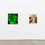 Installation image at Hashimoto Contemporary Los Angeles