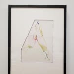 Jasjyot Singh Hans "Spread" colored pencil on paper