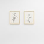 Install image of In Orbit. From left to right, "Nascent (Down)" and Nascent (Up)".