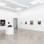 Installation image at Hashimoto Contemporary Los Angeles
