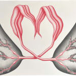 Devra Fox - pink and black graphite drawing of two plants growing from two side of the paper from two hills. Their leaves cross each other in between formed a heart shape.