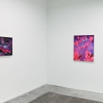 installation view of Megan Ellen MacDonald's exhibition "What Doesn't Kill You" at Hashimoto Contemporary San Francisco. From left to right: "Thick Skin," and "Flutter."