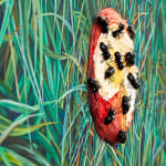 N Dyer painting of detailed grass with apple, a bit has been taken out of it and ants crawl on it